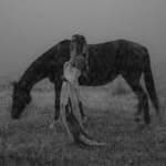 Candice Webster - Healing with Horses (@__candicewebster__)