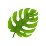 Plants and gardening (@plantsandgardeningideas)